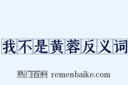 我不是黄蓉反义词是什么意思的图片